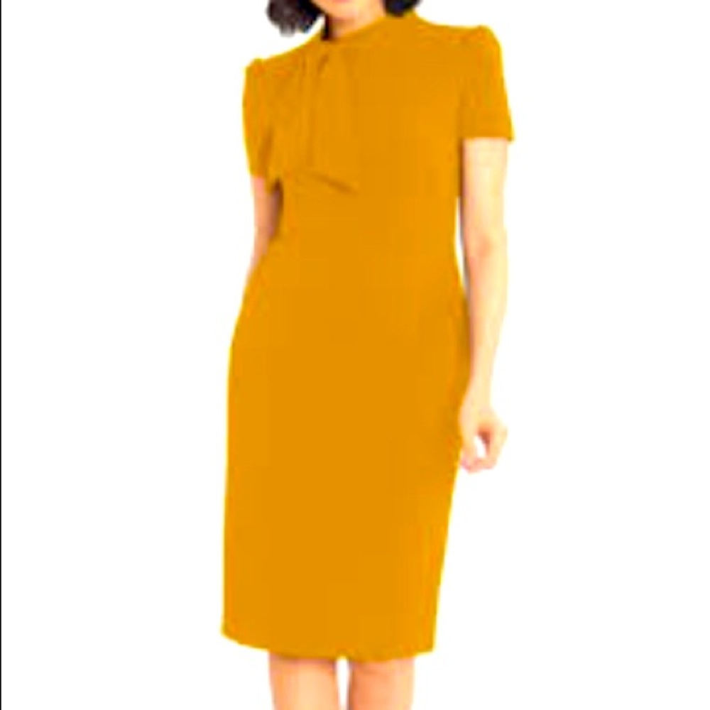 Maggy London Gold Dress (Mimosa Yellow) SZ 18